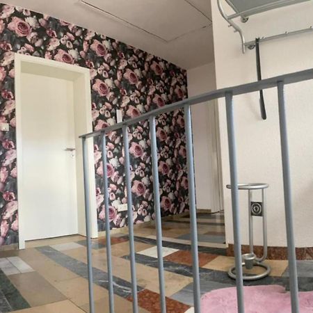 Erica Ferienwohnung Auf Dem Traumpfad Ettringen  エクステリア 写真