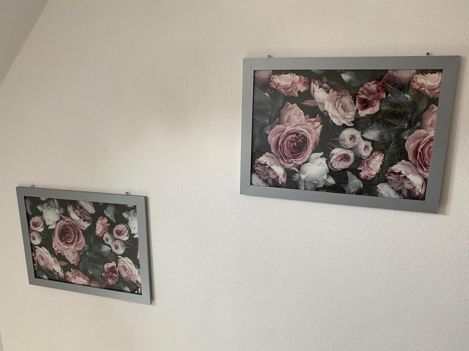 Erica Ferienwohnung Auf Dem Traumpfad Ettringen  エクステリア 写真